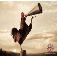 Аватара пользователя